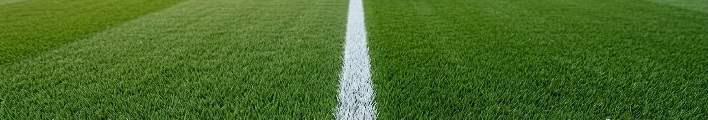 Soccer field